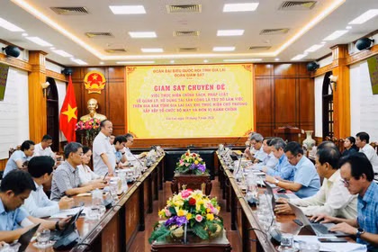 Đoàn đại biểu Quốc hội tỉnh giám sát việc quản lý, sử dụng tài sản công trên địa bàn tỉnh Gia Lai