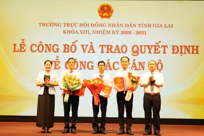 Tiếp nhận, bổ nhiệm 3 Phó Chánh Văn phòng Đoàn ĐBQH và HĐND tỉnh