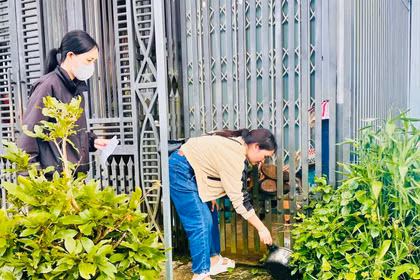 Người dân xã Biển Hồ vệ sinh môi trường, diệt lăng quăng/bọ gậy phòng, chống SXH. Ảnh: Như Nguyện