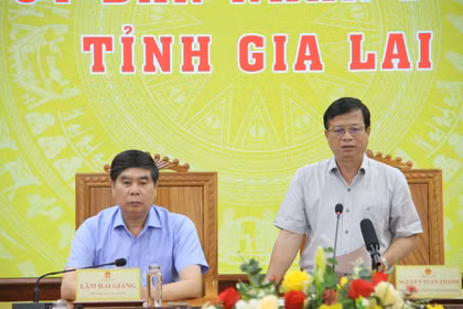 Phó Chủ tịch Thường trực UBND tỉnh Gia Lai phát biểu kết luận cuộc họp