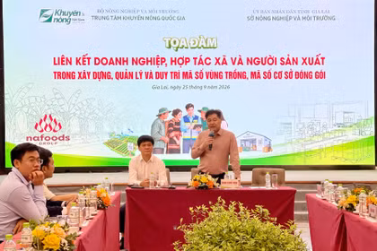 Thúc đẩy liên kết đa bên trong xây dựng, quản lý và duy trì mã số vùng trồng, mã số cơ sở đóng gói