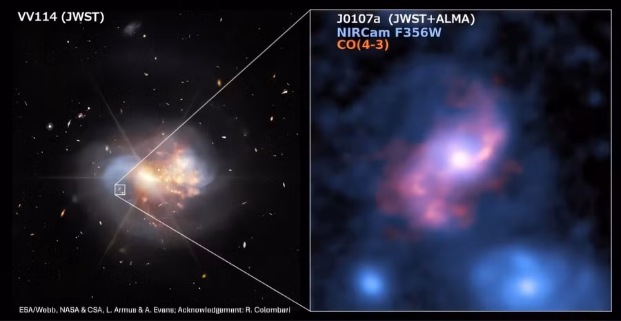 alma-measures-evolutio-1-17479675619551323321955-1748052501625-1748052501783256584815.jpg