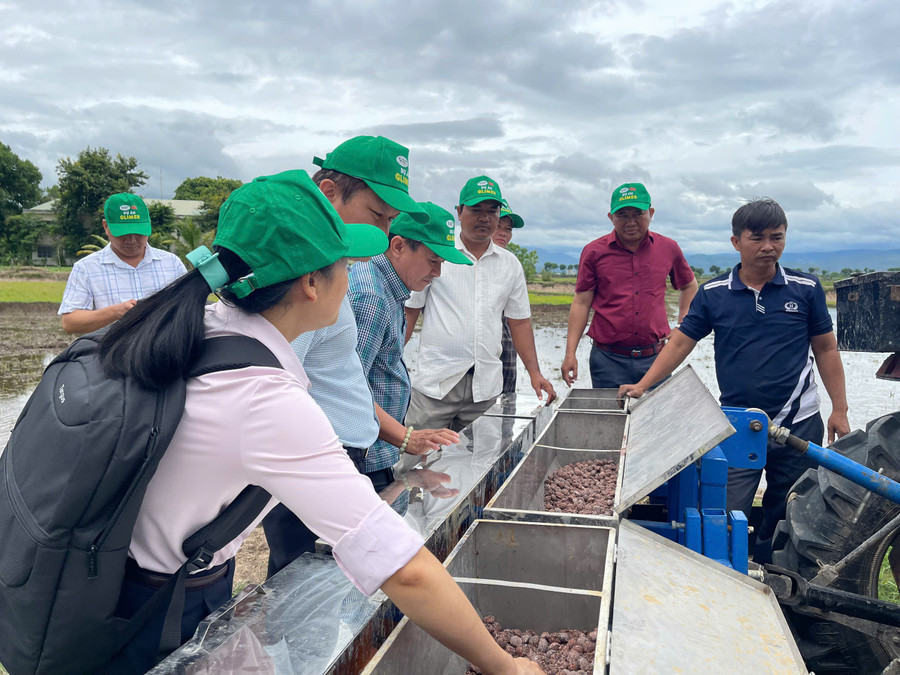 Các đại biểu tham quan thực tế mô hình sử dụng công cụ dúi phân cơ giới kết hợp với sạ lúa tại cánh đồng xã Ia Tul. Ảnh: Vũ Chi cac-dai-bieu-tham-quan-thuc-te-mo-hinh-su-dung-cong-cu-dui-phan-co-gioi-ket-hop-voi-sa-lua-tai-canh-dong-xa-ia-tul-anh-vu-chi.jpg