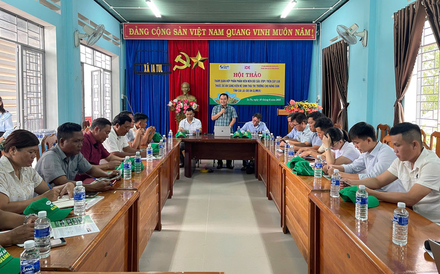 Các đại biểu cùng trao đổi về những thuận lợi, khó khăn trong quá trình triển khai kỹ thuật dúi phân viên nén trên cây lúa tại huyện Ia Pa. Ảnh: Vũ Chi cac-dai-bieu-cung-trao-doi-ve-nhung-thuan-loi-kho-khan-trong-qua-trinh-trien-khai-ky-thuat-dui-phan-vien-nen-tren-cay-lua-tai-huyen-ia-pa-anh-vu-chi.jpg