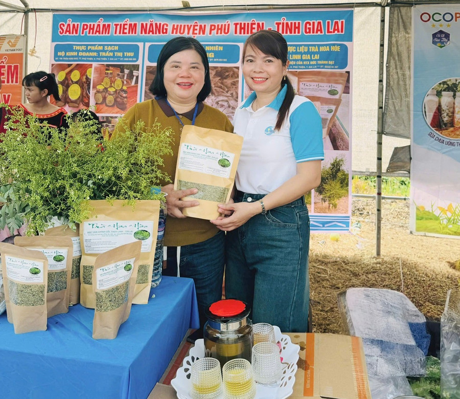 Trà hoa hòe của Hợp tác xã Nông nghiệp Dịch vụ Đức Thành Đạt (xã Ia Sol) là 1 trong 16 sản phẩm tham gia đánh giá, phân hạng sản phẩm OCOP huyện Phú Thiện năm 2025. Ảnh: Vũ Chi tra-hoa-hoe-cua-hop-tac-xa-nong-nghiep-dich-vu-duc-thanh-dat-xa-ia-sol-la-1-trong-16-san-pham-tham-gia-danh-gia-phan-hang-san-pham-ocop-huyen-phu-thien-nam-2025-anh-vu-chi.jpg