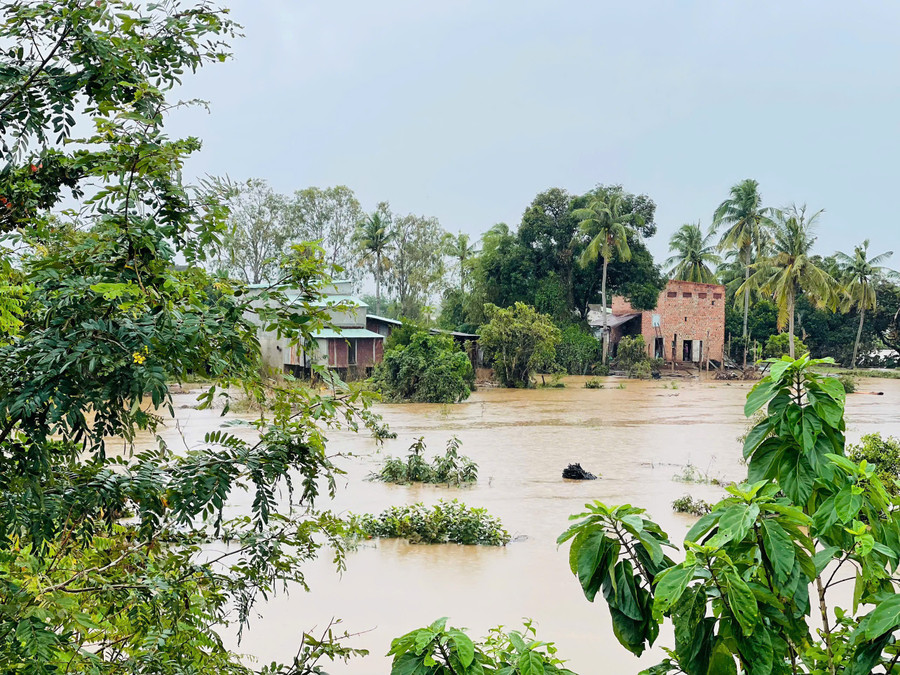 nuoc-song-ba-dang-tiep-tuc-dang-nhanh-nhieu-khu-dan-cu-co-nguy-co-ngap-lut-anh-vu-chi.jpg