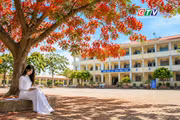 Ngăn ký ức: Nhớ thương mùa phượng vĩ