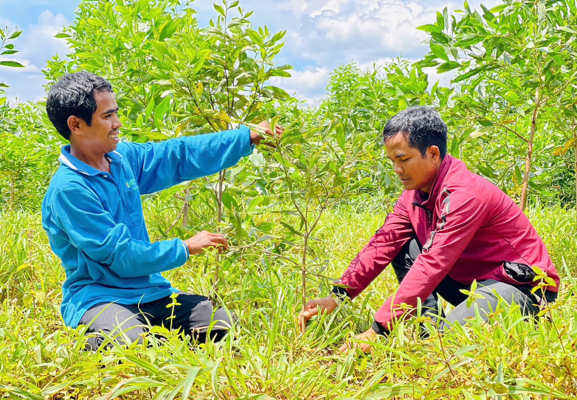 Người dân làng Đaklah-Tờ Rah (xã Lơ Pang, huyện Mang Yang) vui mừng khi được UBND xã giao đất, giao rừng cho cộng đồng làng quản lý. Ảnh: T.D rung-8-8693.jpg