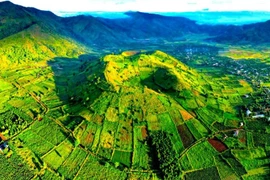 Bên dưới màu xanh trù mật của núi lửa Chư Đang Ya là lớp lớp đá cổ.