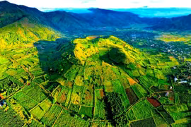 Bên dưới màu xanh trù mật của núi lửa Chư Đang Ya là lớp lớp đá cổ.