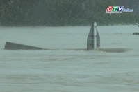 Nhiều nơi ở khu vực Quy Nhơn bị ngập sâu trong nước lũ