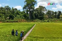 Báo và PT – TH Gia Lai có tác phẩm đạt giải khuyến khích Giải Búa liềm vàng toàn quốc năm 2025