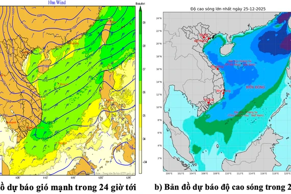 Vùng biển Gia Lai có mưa rào và giông rải rác