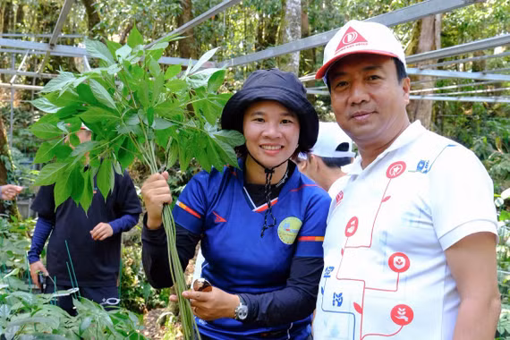 Vượt núi cao tìm “quốc bảo” sâm Ngọc Linh