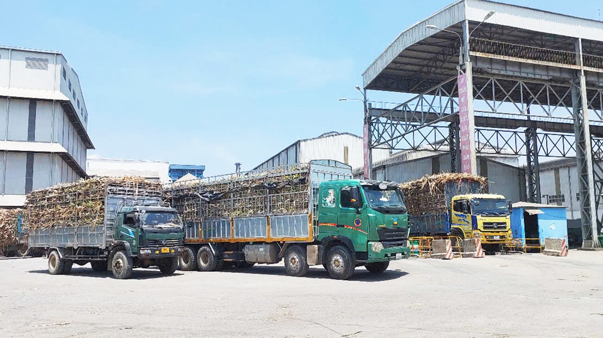 Kenderaan mengangkut tebu ke Kilang Gula An Khe. Foto: Q.T 3qt.jpg