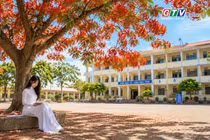 Ngăn ký ức: Nhớ thương mùa phượng vĩ
