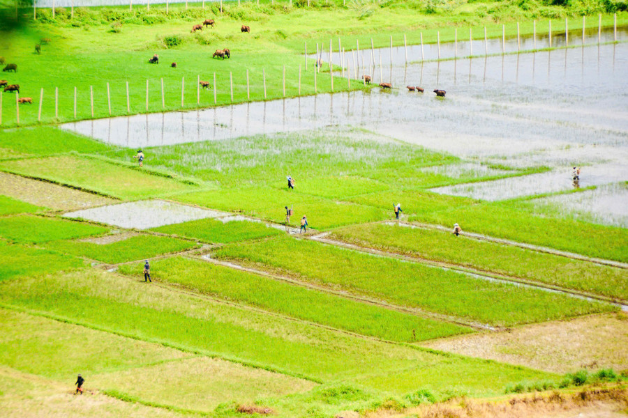 Một góc thung lũng Ia Nung. Ảnh: Nguyễn Thị Diễm mot-goc-thung-lung-ia-nung-mua-nuoc-noi.jpg