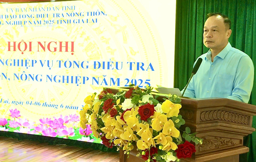 Phó Chủ tịch UBND tỉnh Dương Mah Tiệp phát biểu tại Hội nghị tập huấn nghiệp vụ Tổng điều tra nông thôn, nông nghiệp năm 2025. Ảnh: Minh Phương a-tiep.jpg