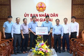 Tập đoàn Điện lực Việt Nam hỗ trợ tỉnh Gia Lai 1 tỷ đồng khắc phục hậu quả bão số 13.