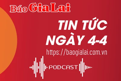 Tin tức sáng 4-4: Nhiều khu đất sau đấu giá ở Chư Sê bị bỏ hoang