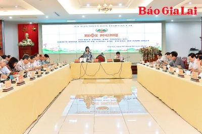 Gia Lai: Sơ kết công tác tháng 1, triển khai nhiệm vụ công tác tháng 2-2024