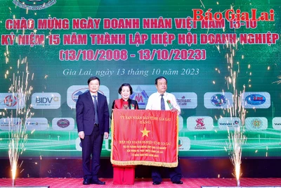 Hiệp hội Doanh nghiệp tỉnh Gia Lai và hành trình 15 năm phát triển