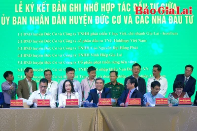 Đức Cơ đẩy mạnh xúc tiến đầu tư, tăng cường kết nối doanh nghiệp