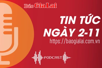 Tin tức sáng 2-11: Vi phạm hoạt động thương mại điện tử, 1 doanh nghiệp bị 30 triệu đồng