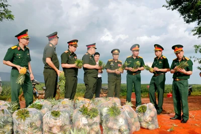 Bộ Quốc phòng Lào tham quan mô hình kinh tế-quốc phòng Binh đoàn 15