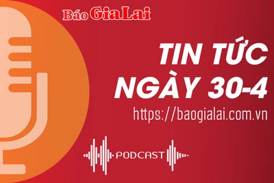 Tin tức sáng 30-4: Gia Lai thanh lý 85 xe ô tô của các cơ quan, đơn vị