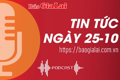 Tin tức sáng 25-10: Công an TP. Pleiku xử lý vi phạm giao thông qua phản ánh trên mạng xã hội