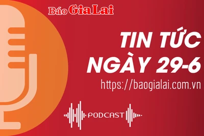 Tin tức sáng 29-6: Ban Chỉ đạo Đề án 06 kiểm tra thực hiện Đề án tại huyện Đức Cơ