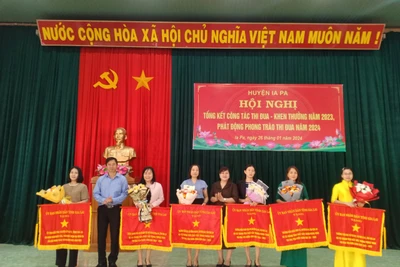 Nhiều tập thể, cá nhân huyện Ia Pa được khen thưởng trong phong trào thi đua yêu nước