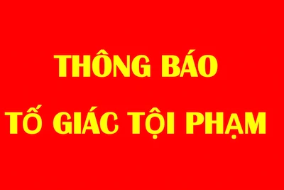 Tìm người ký kết hợp đồng góp vốn dự án trồng rừng với bà Nguyễn Thị Tố Nga