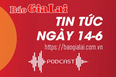 Tin tức sáng 14-6: Kiểm tra việc sử dụng nguồn vốn khắc phục hậu quả thiên tai tại Gia Lai