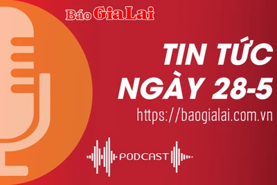 Tin tức sáng 28-5: Tạm giữ nữ thủ quỹ chiếm đoạt hơn 450 triệu đồng của Trường THPT Trần Cao Vân