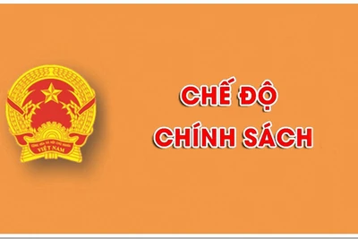 Bộ Nội vụ trả lời kiến nghị của cử tri về chính sách đối với người hưởng lương trong lực lượng vũ trang