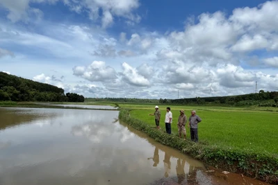 Chủ động phòng-chống sạt lở, bảo đảm an toàn cho người dân