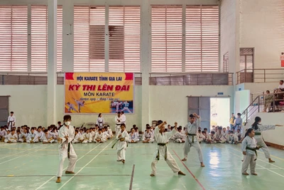 Hơn 250 võ sinh karate tham gia kỳ thi lên đai lần thứ I