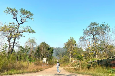 Tháng bảy biên cương