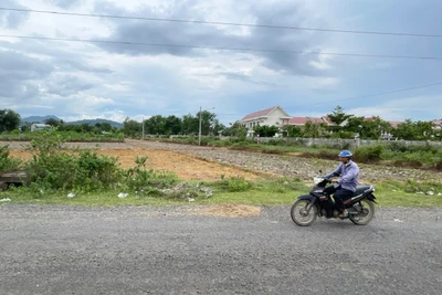 Nhà thầu bị đánh trượt vì không cung cấp đủ hồ sơ, tài liệu