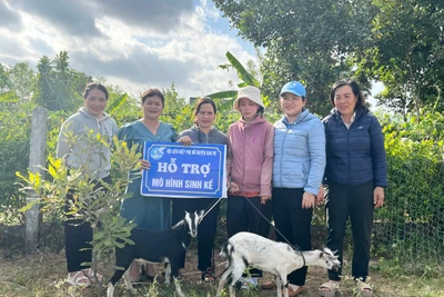 Trao nhà và mô hình sinh kế người nghèo huyện Đak Pơ, Kông Chro