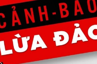 3 hộ dân tố giác bị 1 cá nhân lừa đảo chiếm đoạt tài sản