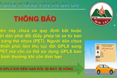 Cảnh giác trước thông tin bắt buộc phải đổi bằng lái xe giấy sang thẻ cứng