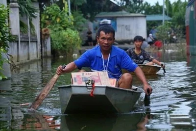 Bí thư Hà Nội: Không để 'bão giá', thiếu lương thực, thuốc men sau mưa bão