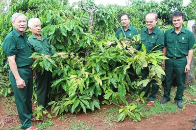 Hội Cựu chiến binh: Lực lượng nòng cốt trong hệ thống chính trị