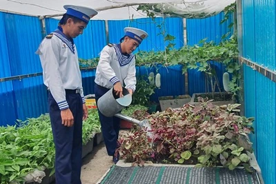 Trường Sa! Tiếng gọi thẳm sâu nơi lòng biển - Bài 2: Những hòn ngọc giữa trùng khơi