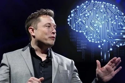 Neuralink xác nhận ca cấy chip não đầu tiên gặp sự cố