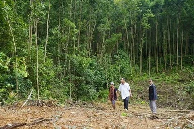 'Gõ cửa' Ho Rum