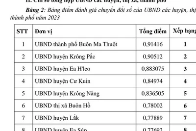 Đắk Lắk điểm tên đơn vị chuyển đổi số 'lẹt đẹt'